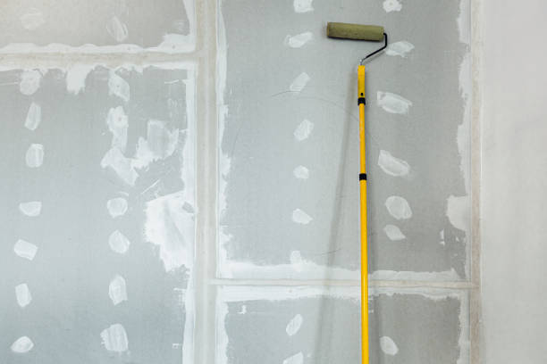 Best Post-Construction Mold Inspection  in Whitg, IN