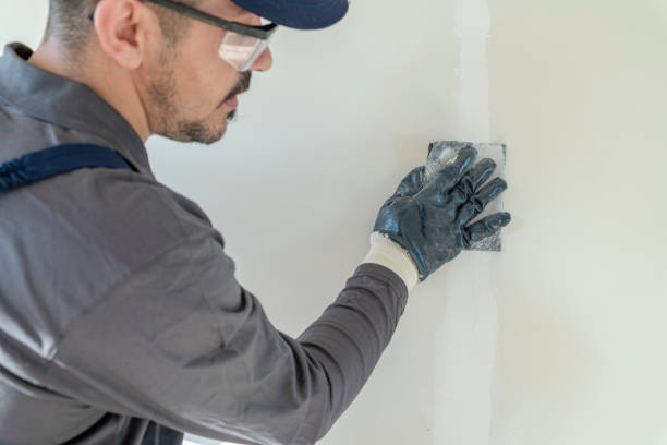 Best Emergency Mold Remediation  in Whitg, IN
