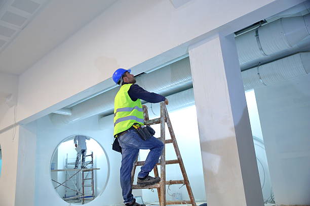 Best Mold Damage Restoration  in Whitg, IN