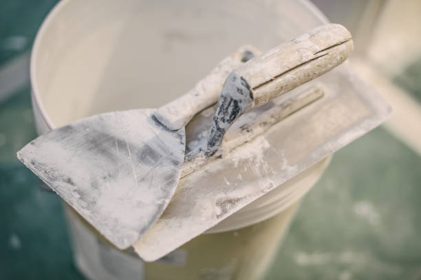 Best Water Damage & Mold Remediation  in Whitg, IN