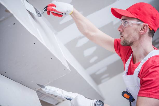 Best Environmental Consulting for Mold Prevention  in Whitg, IN